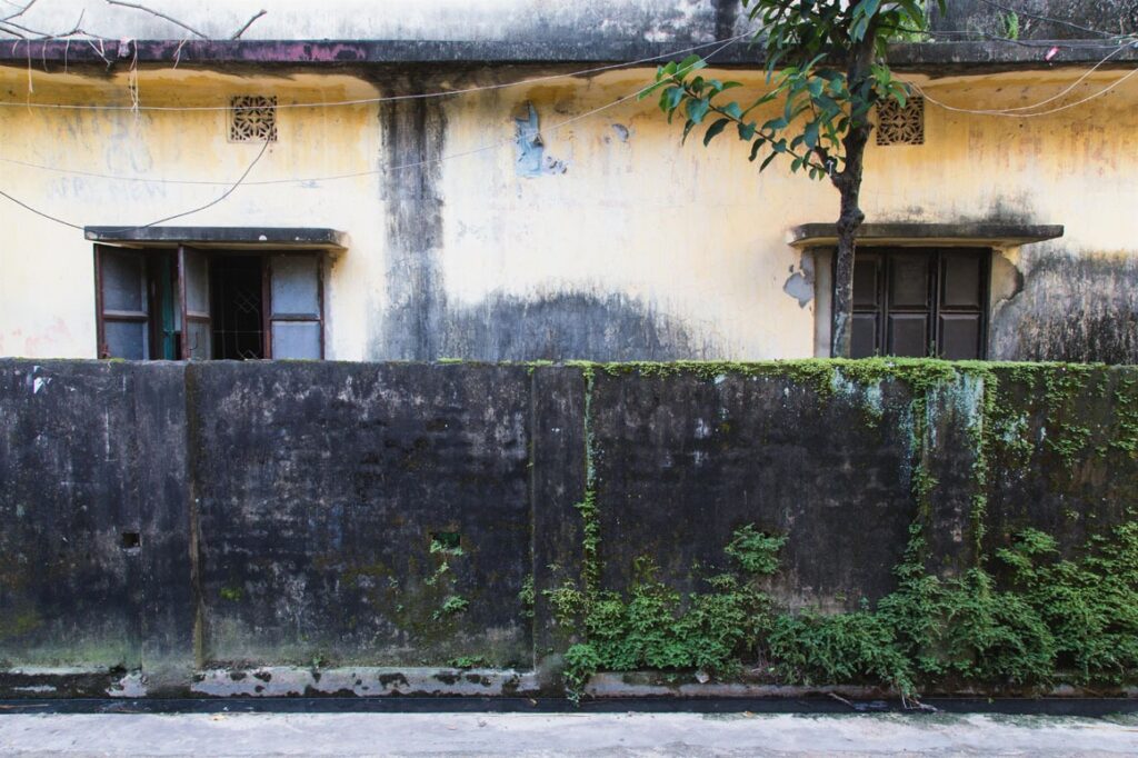 ঘরপলায়নসমূহ