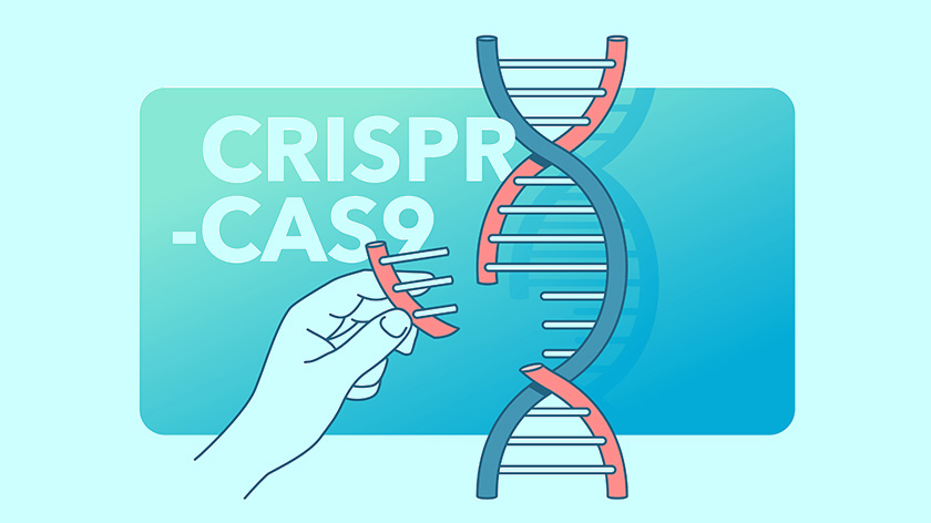 CRISPR কী এবং কেন তা এত গুরুত্বপূর্ণ