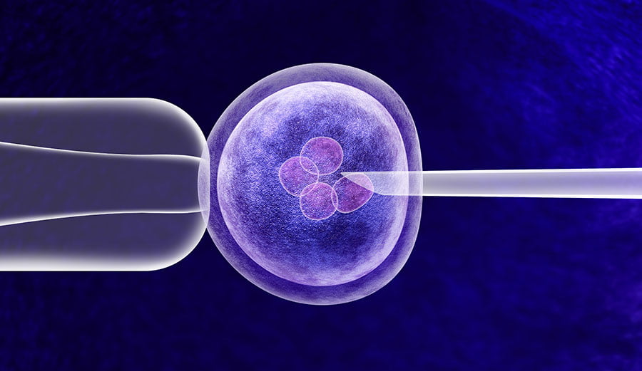 CRISPR বা জিন এডিটিং-এর অন্ধকার দিক