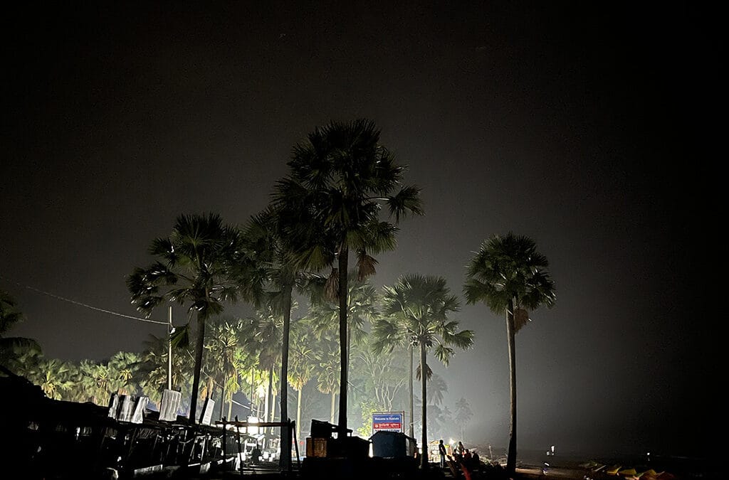 তালগাছ অ্যান্ড কোং